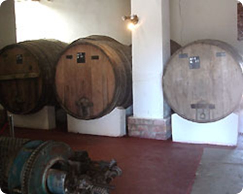 museo del vino cafayate10