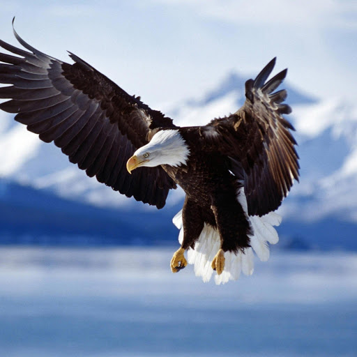 Hd-174107-ascw174107