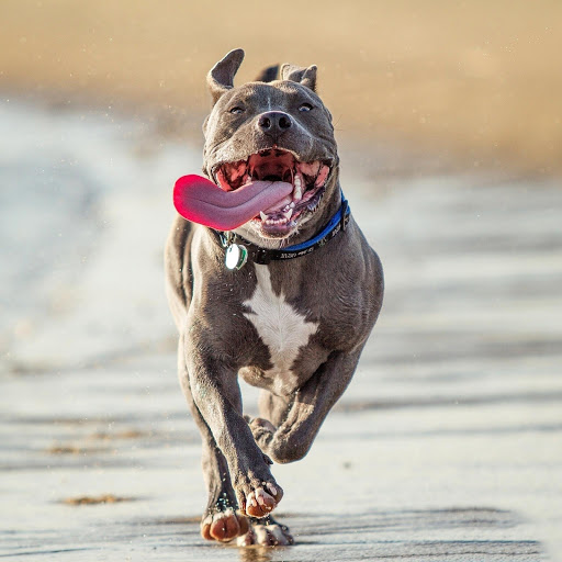 Hd-174815-ascw174815