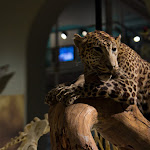 IMG_5619.jpg