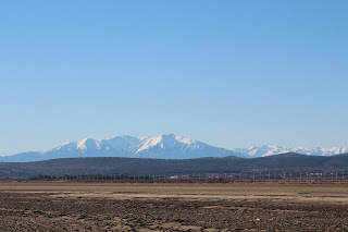 IMG_4141.JPG