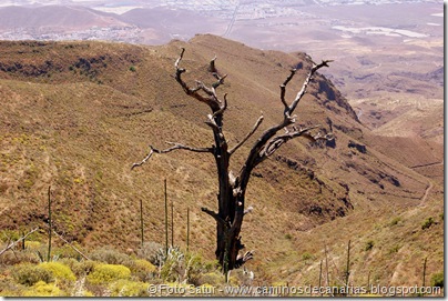 6071 Los Cascajales-Guayadeque 6071 Los Cascajales-Guayadeque