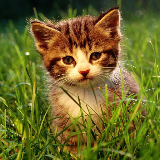 Hd-179980-ascw179980