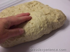 einkorn-oatmeal-bread 014