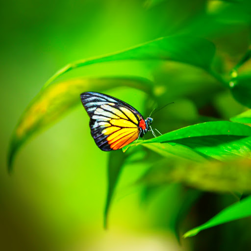 Hd-147544-ascw147544