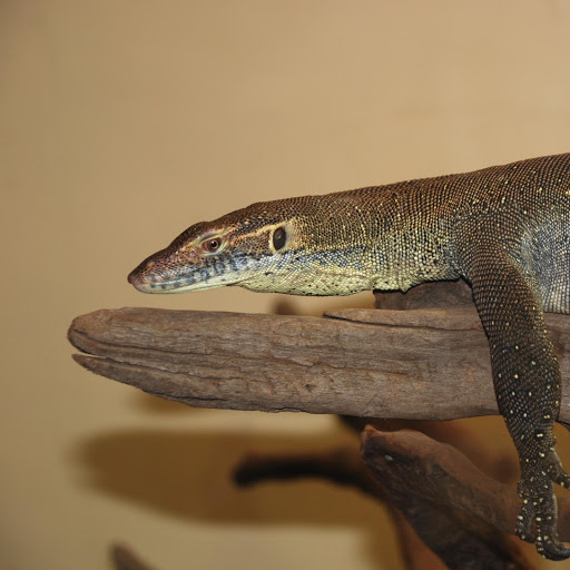 Hd-170656-ascw170656