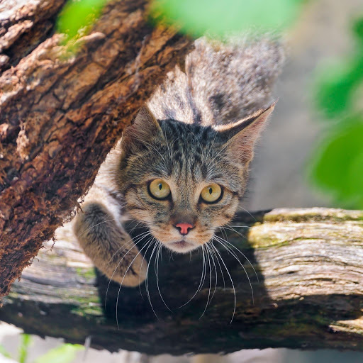 Hd-174611-ascw174611