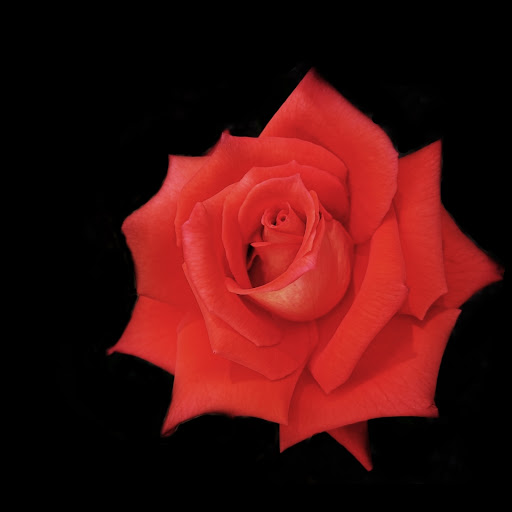 Hd-165313-ascw165313