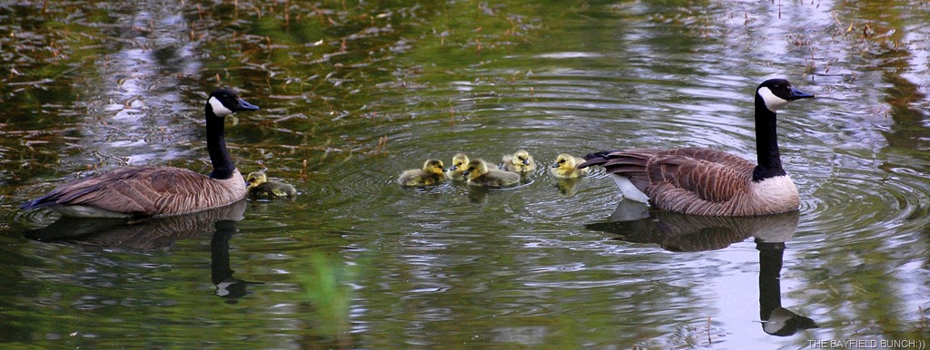 [DSC_6533%255B4%255D.jpg]