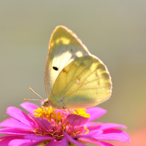 Hd-180129-ascw180129