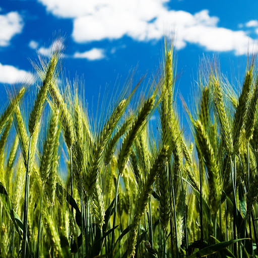 Hd-148315-ascw148315