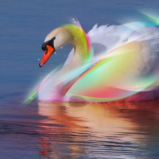 Hd-174121-ascw174121