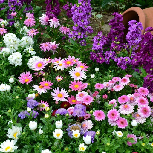 Hd-162563-ascw162563