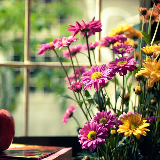 Hd-144744-ascw144744