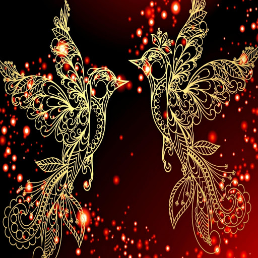 Hd-170211-ascw170211