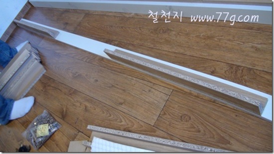 철천지DSC04765-20120324-145508