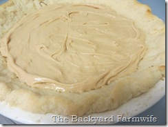 Peanut Butter & Nutella Pie - The Backyard Farmwife