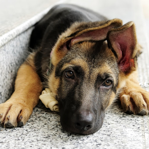 Hd-174142-ascw174142