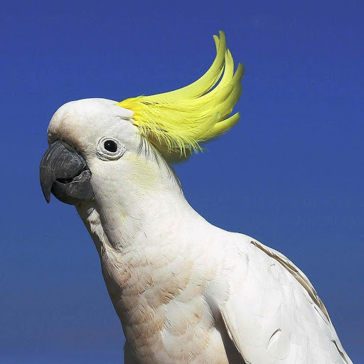 Hd-177820-ascw177820