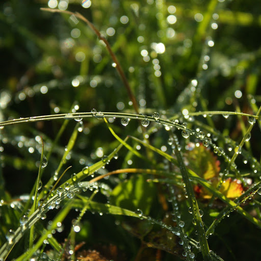 Hd-141830-ascw141830