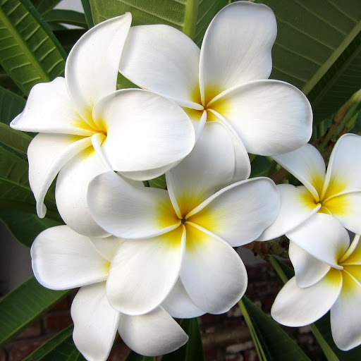 Hd-149208-ascw149208