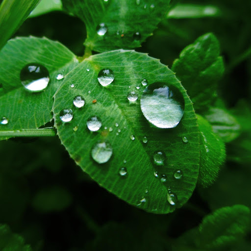 Hd-178073-ascw178073