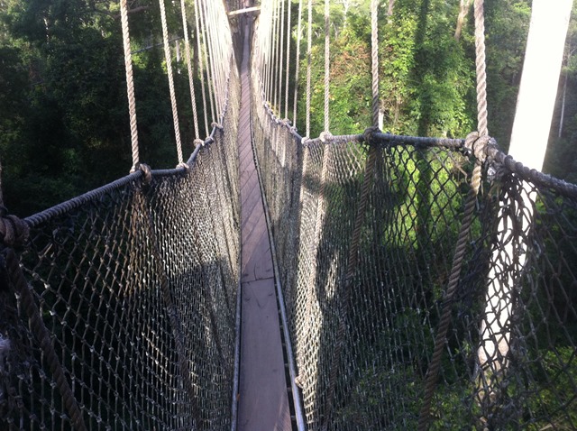 [IMG_0537%255B3%255D.jpg]