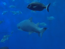 2012-10-20 Mallorca by BREITENGRAD53 - 206