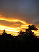 Austr_703_15.11.2007.JPG