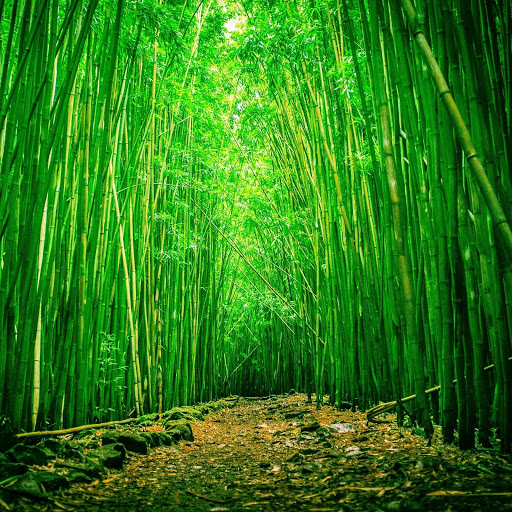 Hd-160047-ascw160047