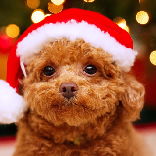 Hd-148676-ascw148676