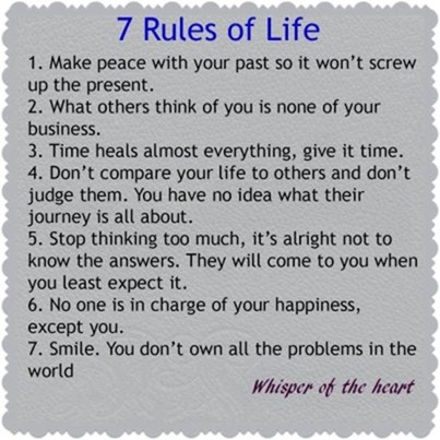 A Life In Webbis Positive Energy 861 577996042215459 1566282921 N