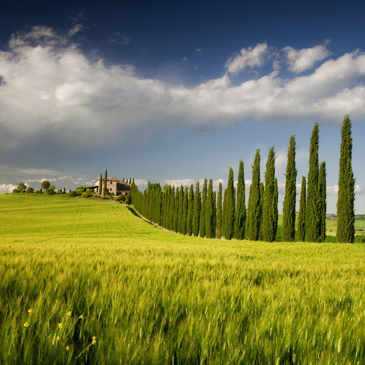 Hd-131055-ascw131055