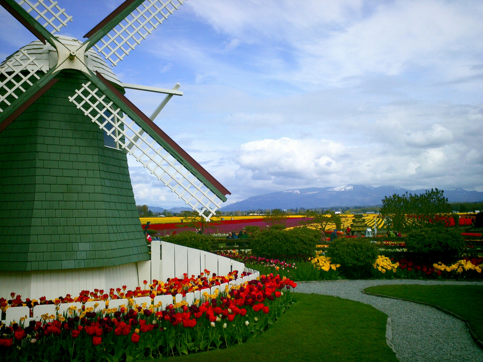 The Road Goes On Forever... Tulip festival in Mount Vernon, WA
