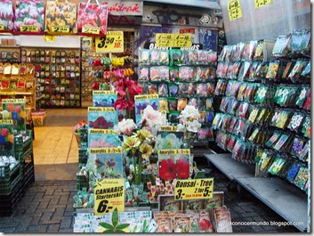 Amsterdam. Mercado de las flores - PB100662