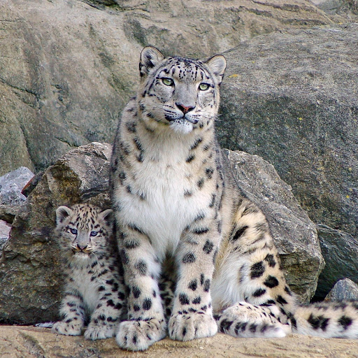 Hd-177341-ascw177341