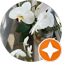 Abhikaran S.,AutoDir