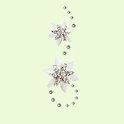 Flower30Theme logo