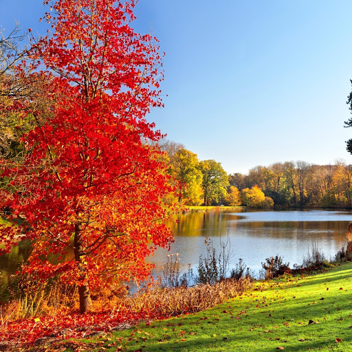 Hd-152379-ascw152379