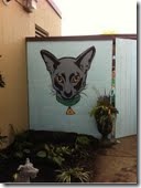 Cincinnati SPCA Cat Mural