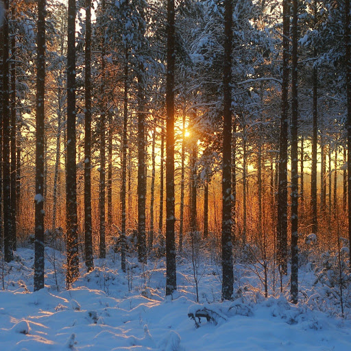 Hd-157799-ascw157799