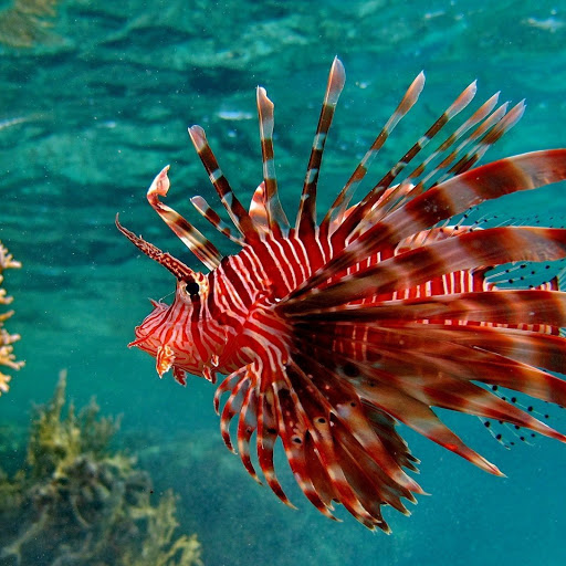 Hd-139211-ascw139211