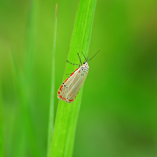 Hd-157091-ascw157091