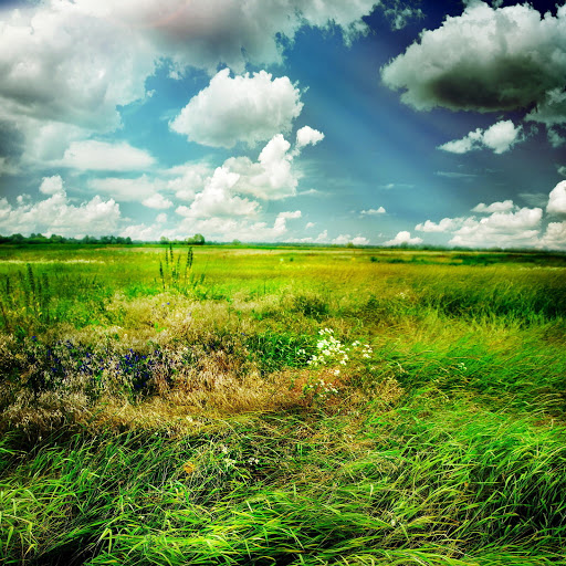 Hd-185322-ascw185322