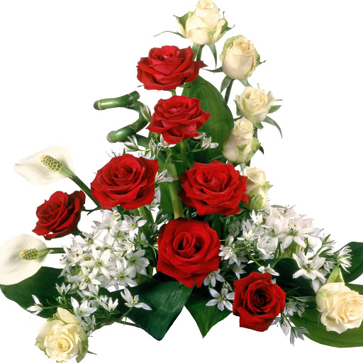 Hd-149248-ascw149248