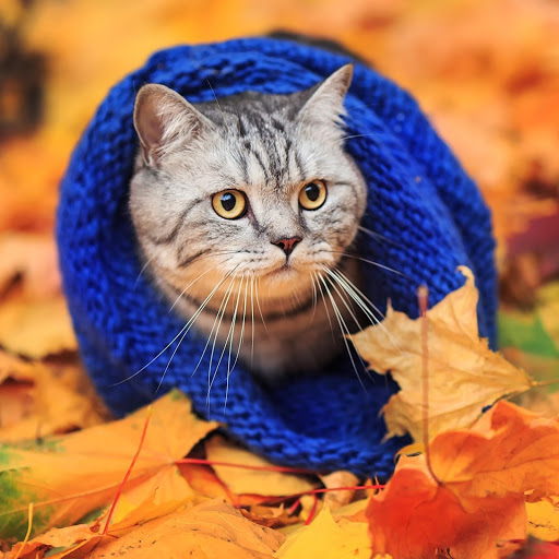 Hd-156640-ascw156640