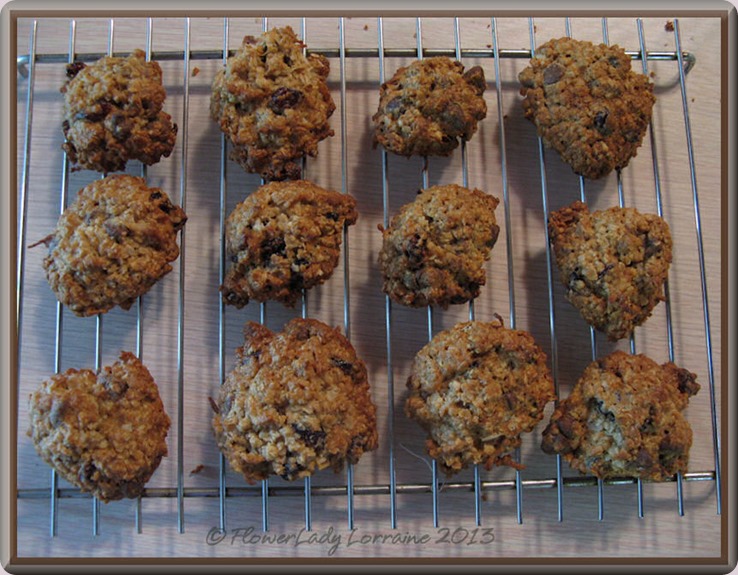 05-06-oatmeal-cookies