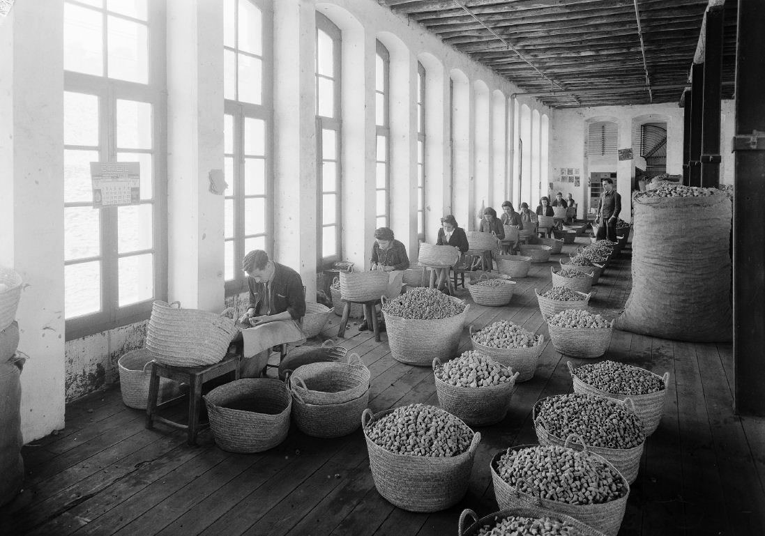 [Fbrica-Robinson.38.jpg]