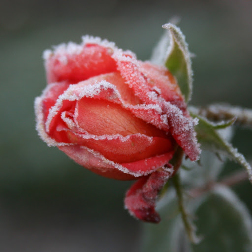 Hd-167612-ascw167612