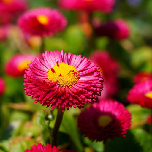 Hd-152501-ascw152501